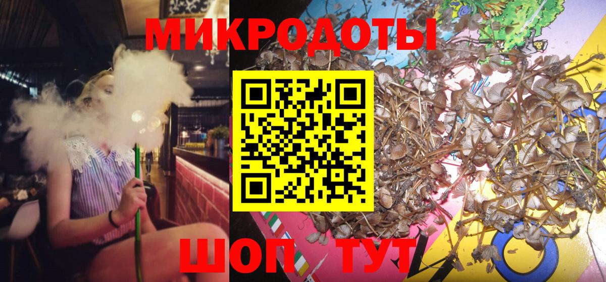 Псилоцибиновые грибы прущие грибы Лабытнанги